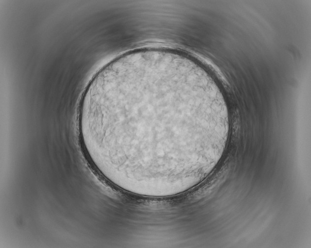 X0000110681375200907101119