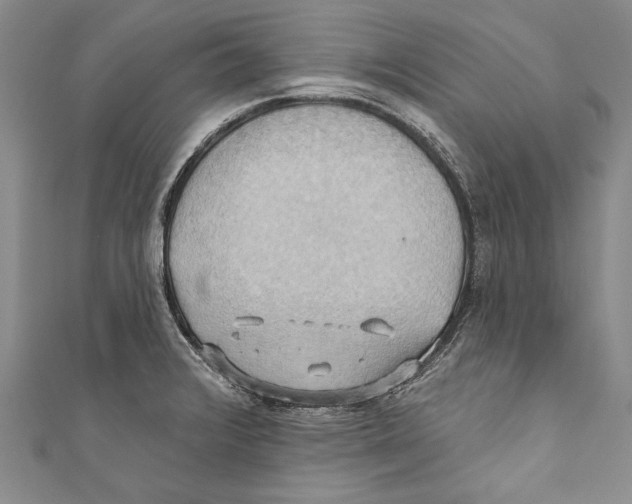 X0000110681376200907101118