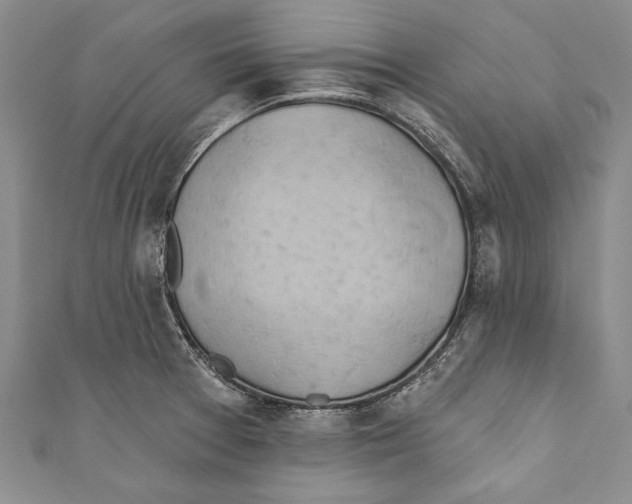 X0000110681377200907101118