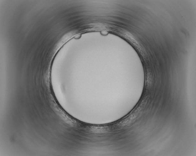 X0000110681378200907101118