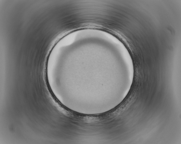 X0000110681379200907101118
