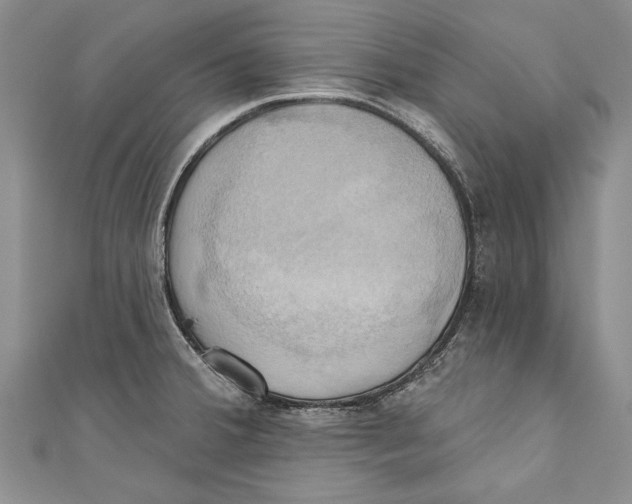 X0000110681380200907101118