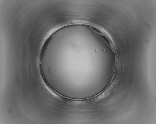 X0000110681381200907101118
