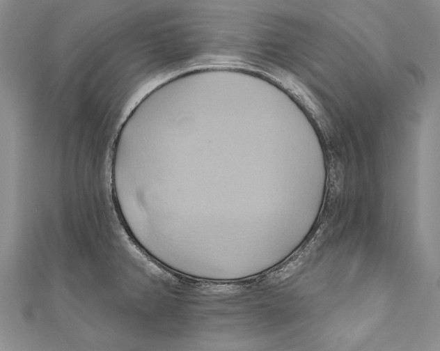 X0000110681382200907101118