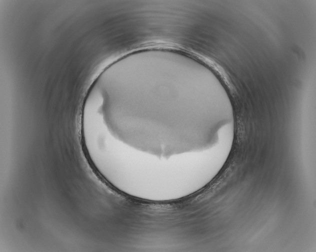X0000110681383200907101118