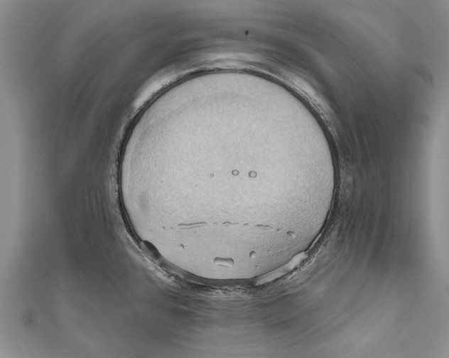 X0000110681384200907101118