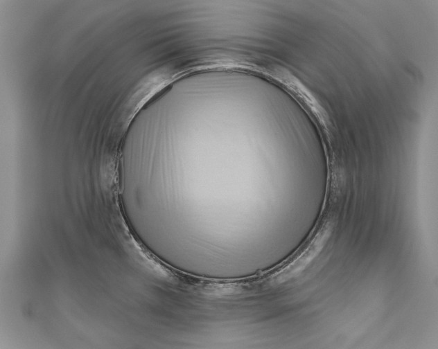 X0000110681385200907101118