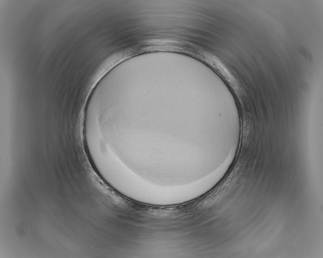 X0000110681386200907101118