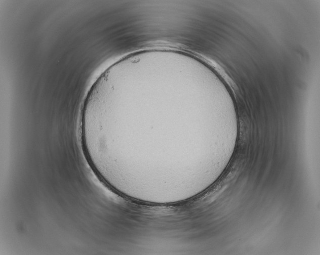 X0000110681387200907101118