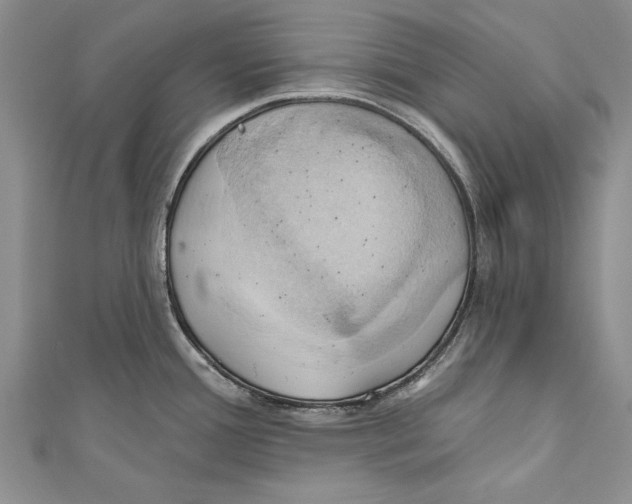 X0000110681388200907101118