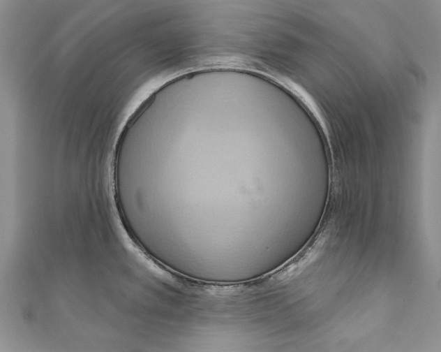 X0000110681389200907101118