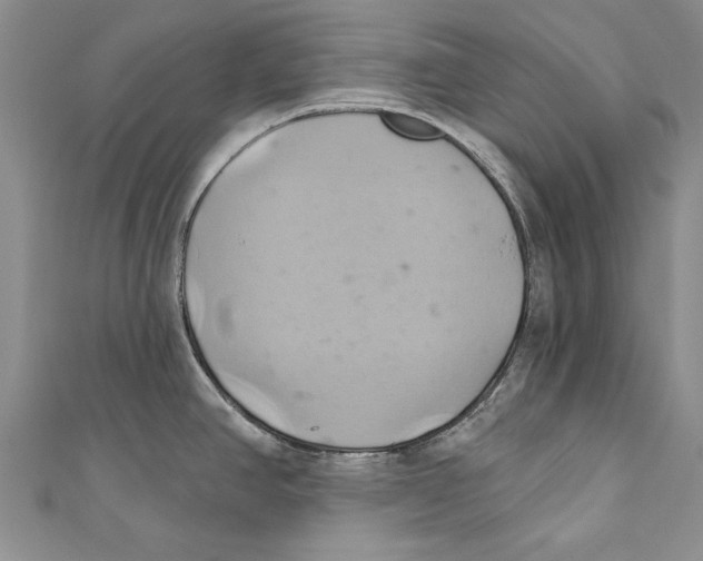 X0000110681390200907101118