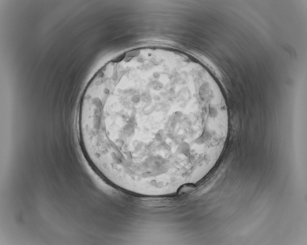 X0000110681391200907101118