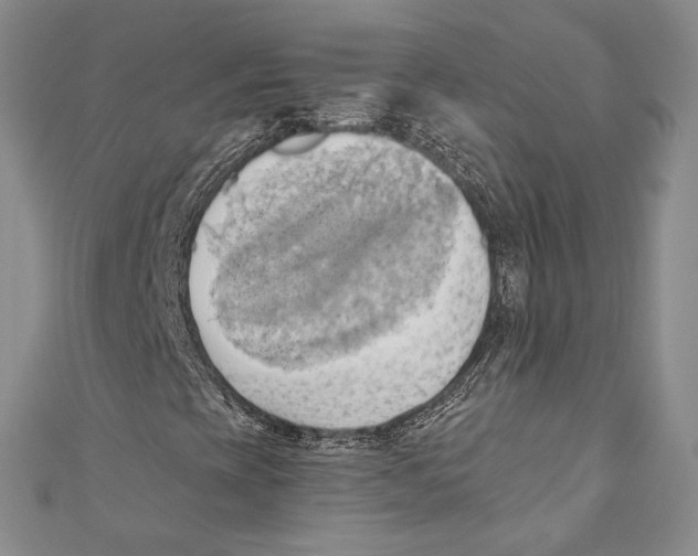 X0000110681393200907101118