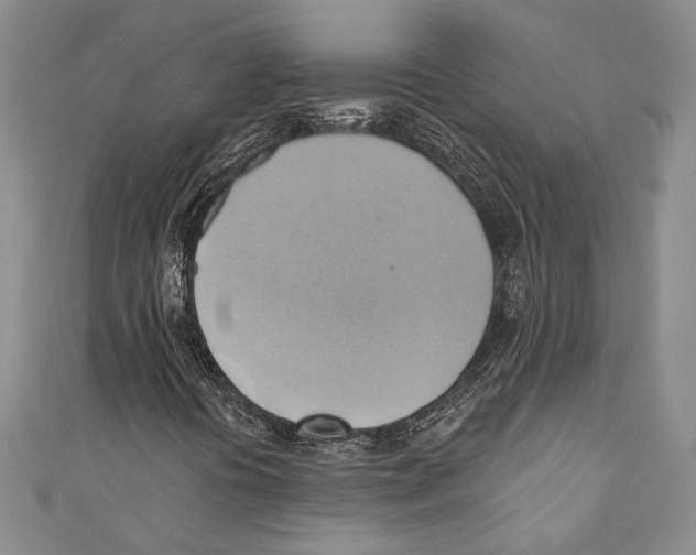 X0000110681394200907101118