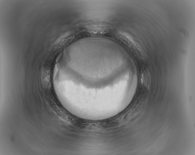 X0000110681396200907101118