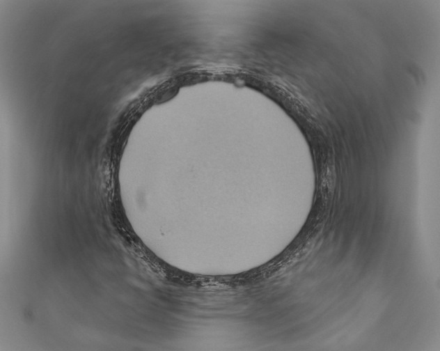 X0000110681398200907101118