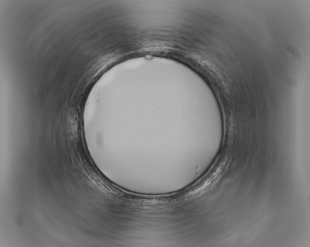 X0000110681401200907101118
