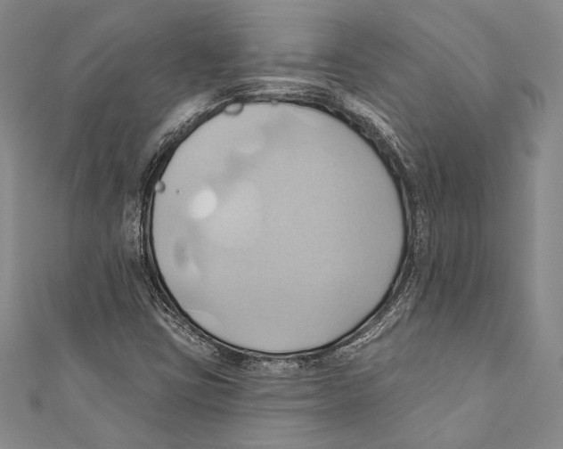 X0000110681403200907101118