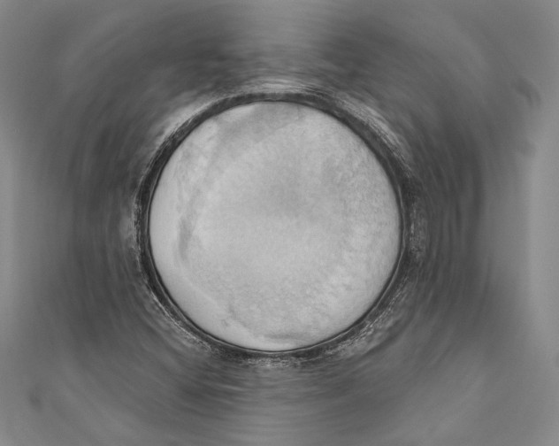 X0000110681404200907101118
