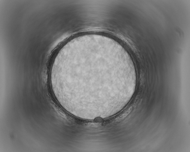 X0000110681406200907101118