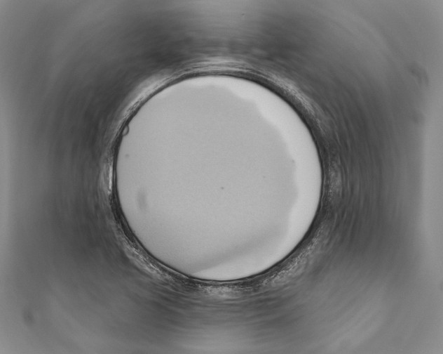 X0000110681413200907101118
