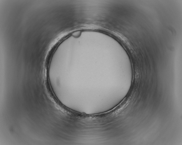 X0000110681414200907101118