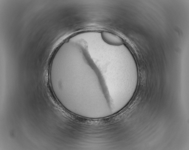 X0000110681415200907101118