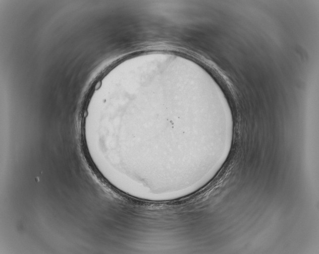 X0000110681416200907101118