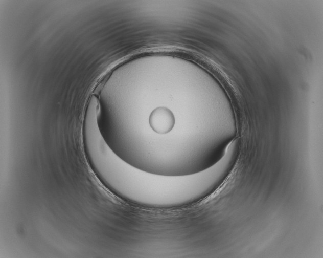 X0000110681417200907101118