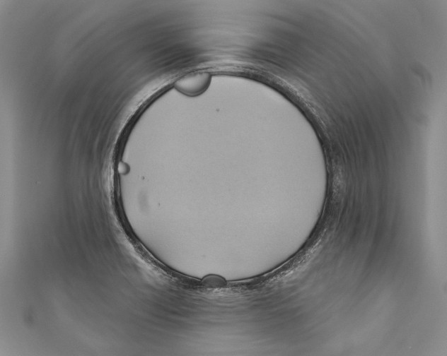 X0000110681418200907101118
