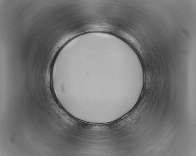 X0000110681419200907101118
