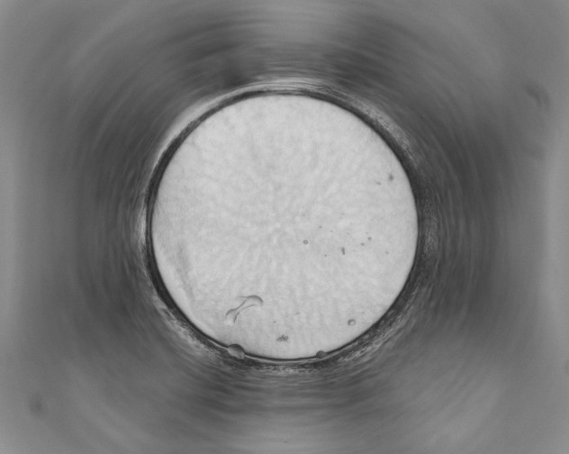 X0000110681420200907101118