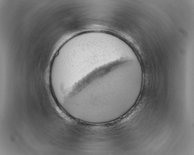 X0000110681421200907101118