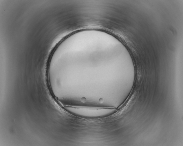 X0000110681422200907101118