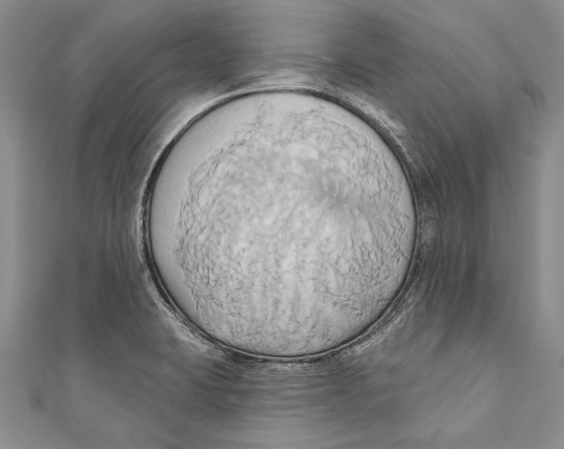 X0000110681423200907101118