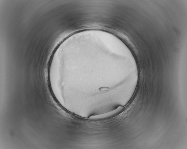 X0000110681424200907101118