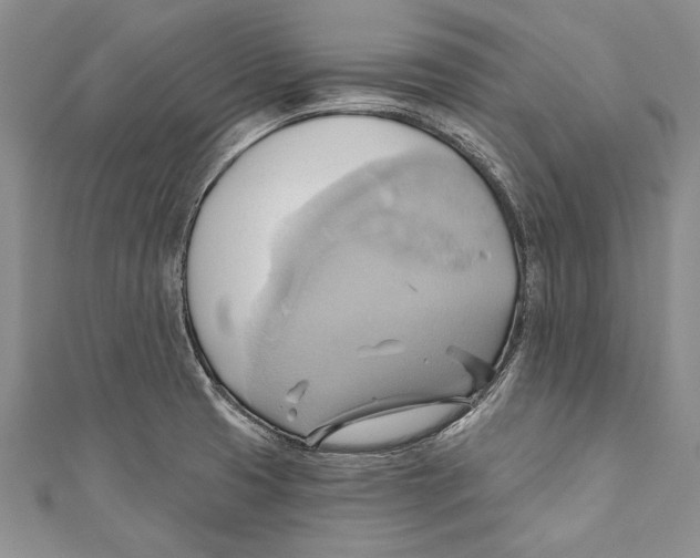 X0000110681425200907101118