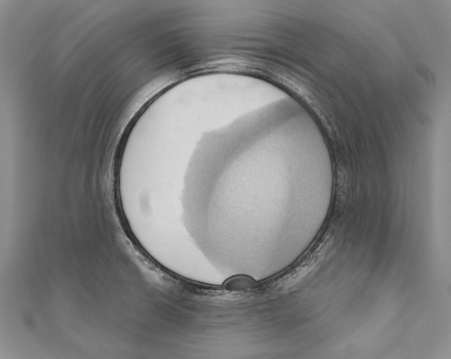 X0000110681426200907101118