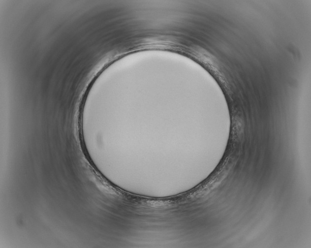 X0000110681427200907101118