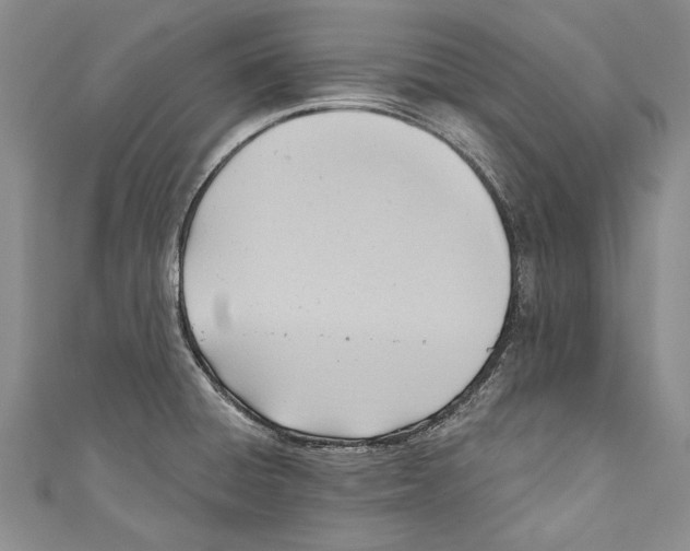 X0000110681428200907101118