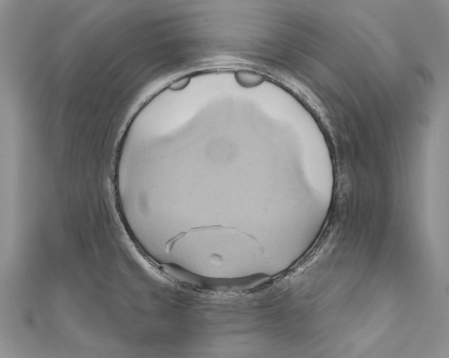 X0000110681429200907101118