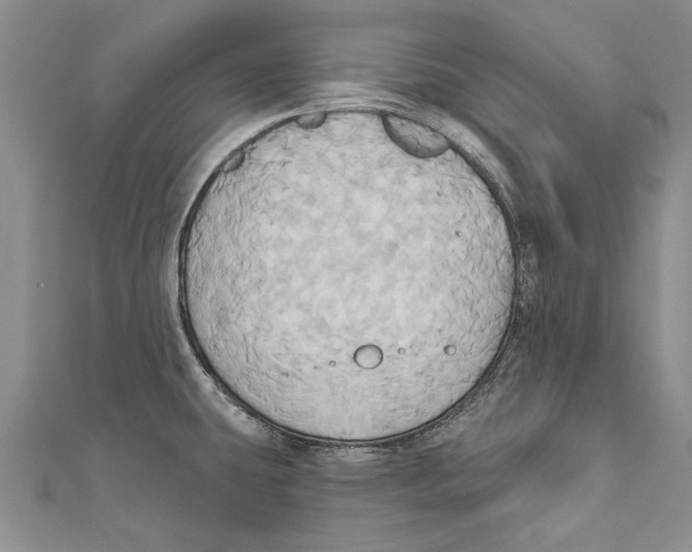 X0000110681431200907101118