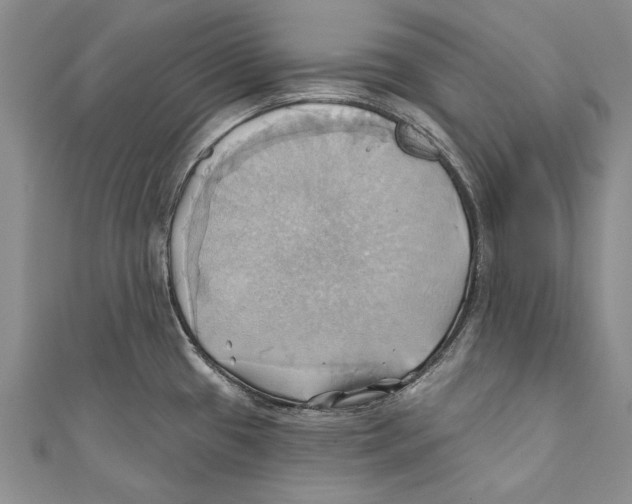 X0000110681433200907101118