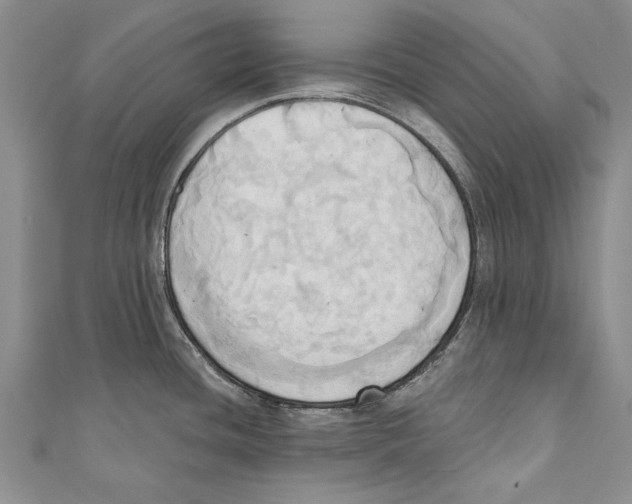 X0000110681436200907101118
