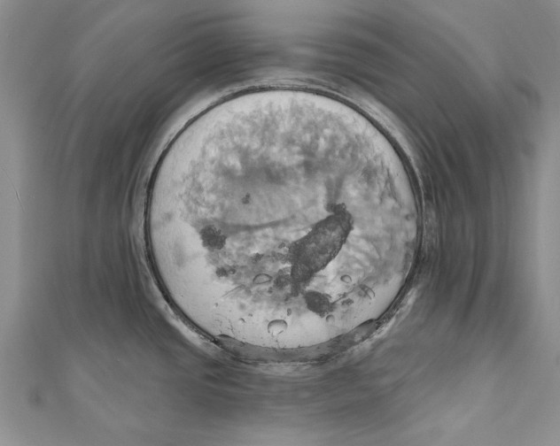 X0000110681437200907101118