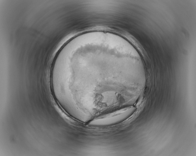 X0000110681438200907101118