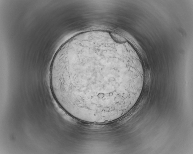 X0000110681439200907101118
