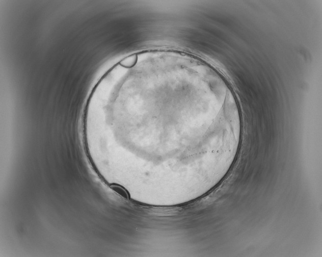 X0000110681440200907101118