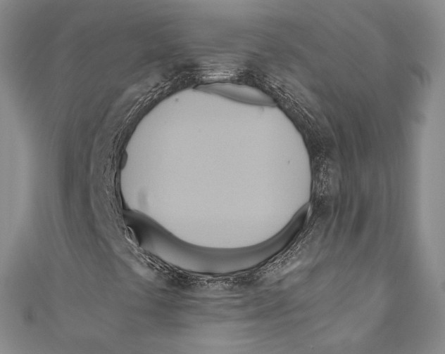 X0000110681441200907101118